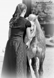 Le cheval compte sur vous pour protéger ses dents